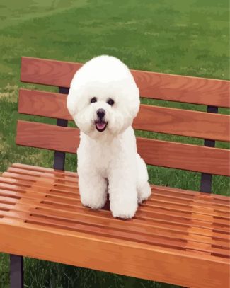 Cute Bichon Frise diamond painting