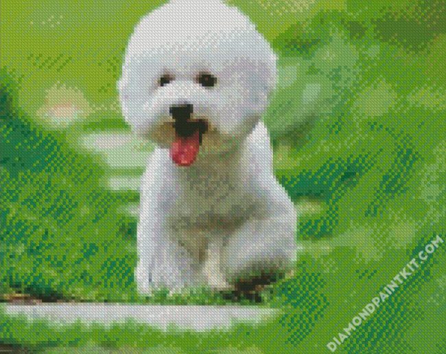 Cute Bichon Puppy diamond painting