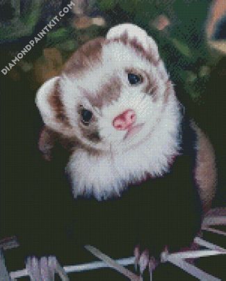 Cute ferret diamond paintings