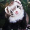 Cute ferret diamond painting