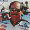 Dale Earnhardt racer diamond paintings