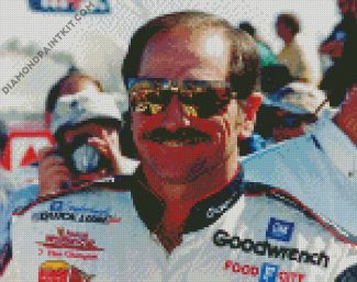 Dale Earnhardt racer diamond paintings