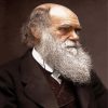 Darwin Portrait diamond painting