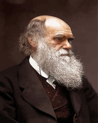 Darwin Portrait diamond painting