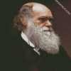 Darwin Portrait diamond painting