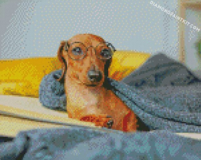 Dashshund With Glasses diamond paintings