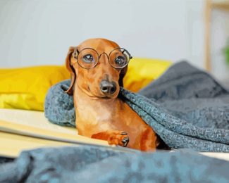 Dashshund With Glasses diamond painting