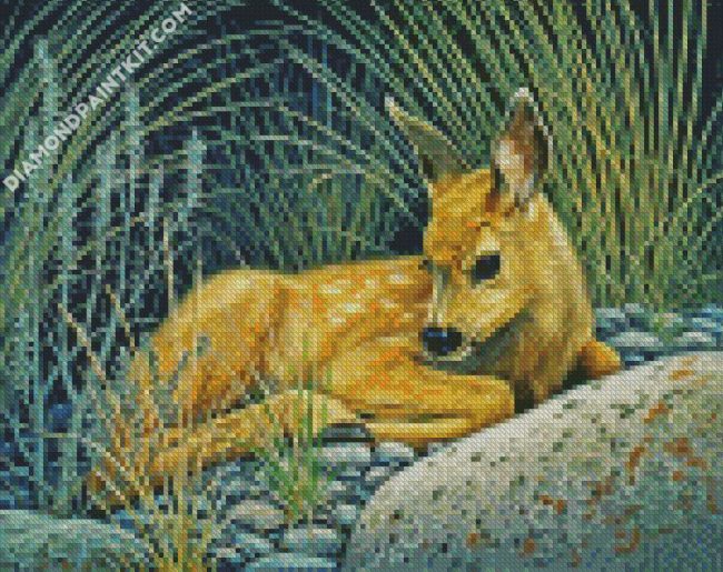 Deer Fawn Animal diamond paintings