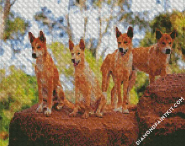 Dingos diamond paintings