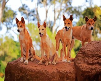 Dingos diamond painting