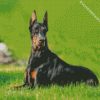 Doberman Dog diamond painting