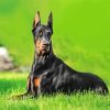 Doberman Dog diamond painting