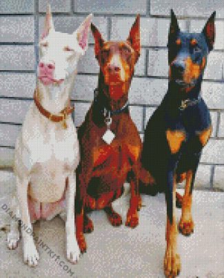 Dobermans Pack diamond painting