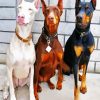 Dobermans Pack diamond painting