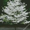 Dogwood Tree diamond paintings