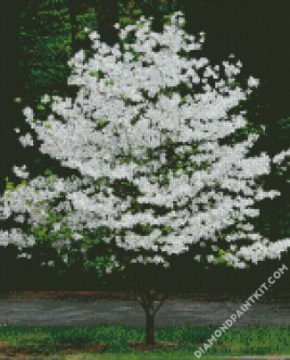 Dogwood Tree diamond paintings