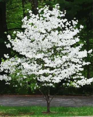 Dogwood Tree diamond painting