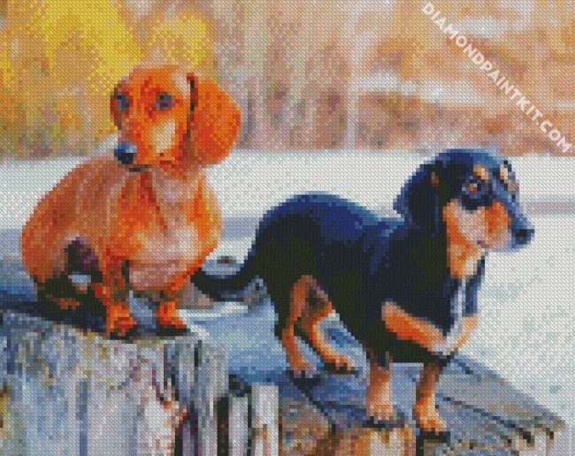 Doxie Dogs diamond painting