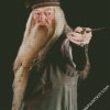 Dumbledore diamond paintings