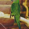 Dusky Conure Bird diamond painting