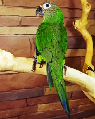 Dusky Conure Bird diamond painting