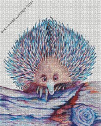 Australian Echidna diamond paintings