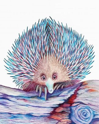 Australian Echidna diamond paintings