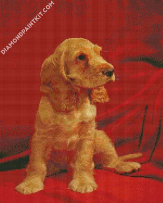 English Cocker Spaniel diamond painting