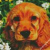 English Cocker Spaniel Doog diamond painting