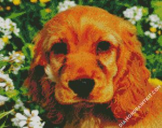 English Cocker Spaniel Doog diamond painting