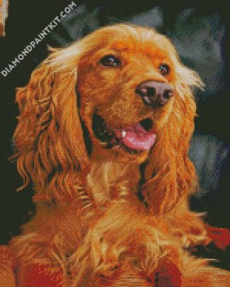 English Cocker Spaniel Puppy diamond painting