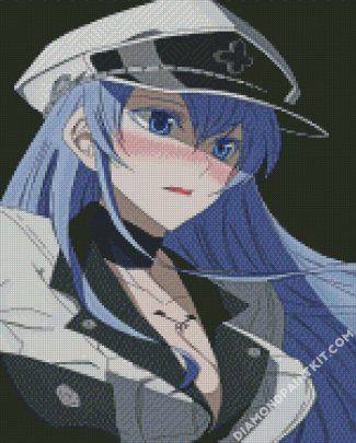 Esdeath diamond paintings