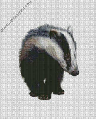 European badger animal diamond paintings