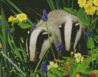 European badger diamond paintings