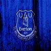 Everton Logo Art diamond painting