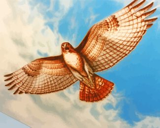 Flying Hawk Bird diamond painting