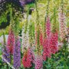 Foxglove Flowers diamond painting