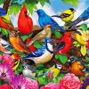 Friendly Birds diamond painting