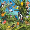 Garden Birds diamond painting