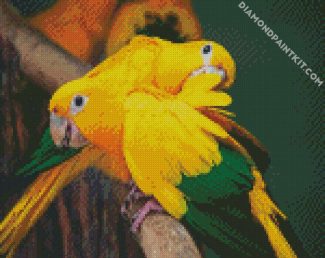 Golden Conure diamond painting