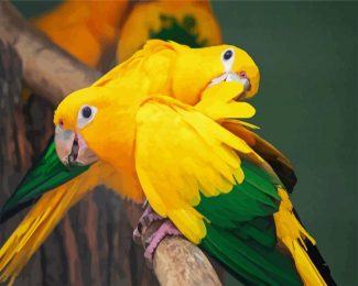 Golden Conure diamond painting