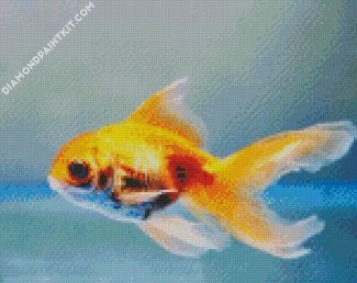 Goldfish Swimming diamond painting