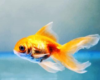 Goldfish Swimming diamond painting