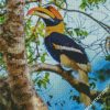 Great Hornbill diamond painting