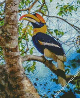 Great Hornbill diamond painting