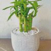 Green bamboo Plant Pot diamond paintings