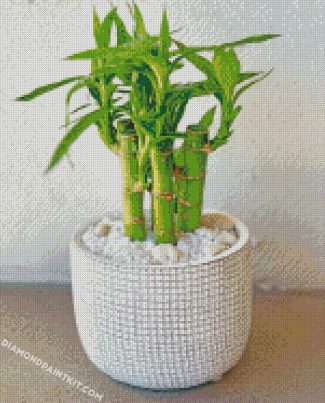 Green bamboo Plant Pot diamond paintings