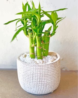 Green bamboo Plant Pot diamond painting