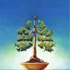 Green bonsai tree diamond painting