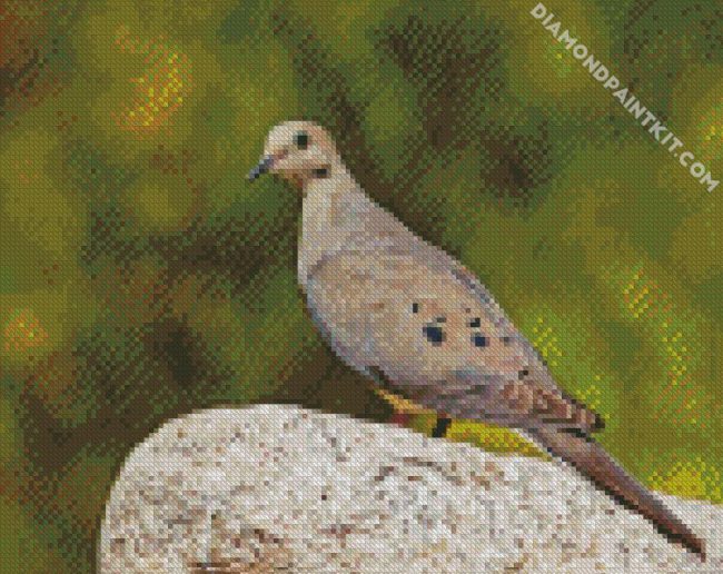 Grey Dove diamond painting